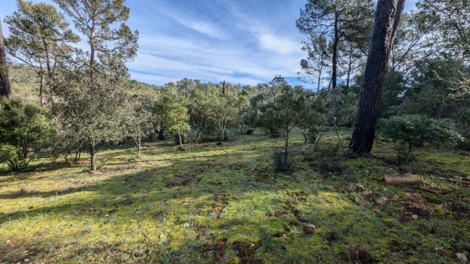 Terrain 1000 m² à Gareoult  - photo 3