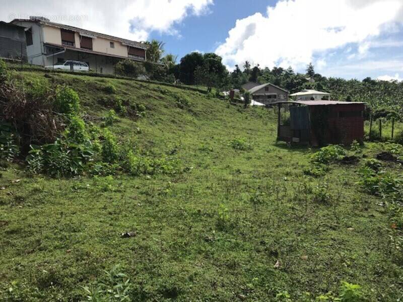 Terrain à LA TRINITE