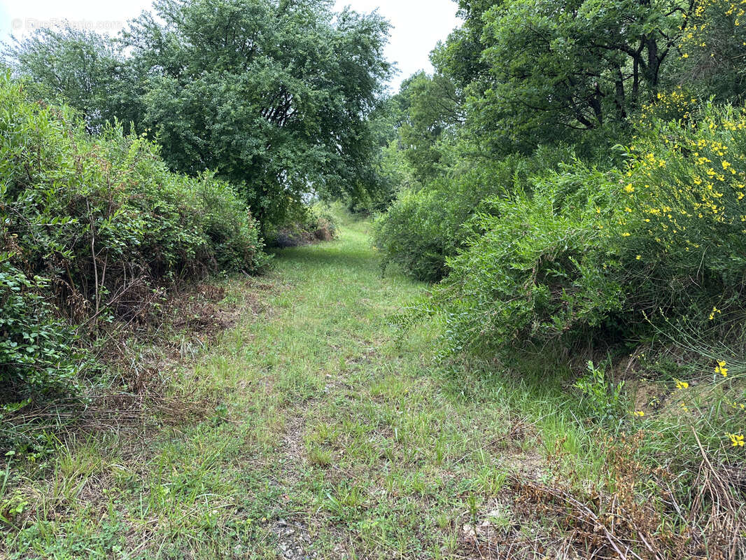 Maison à L&#039;ISLE-EN-DODON