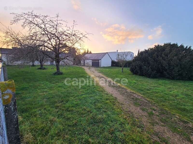 Terrain à JOUE-LES-TOURS