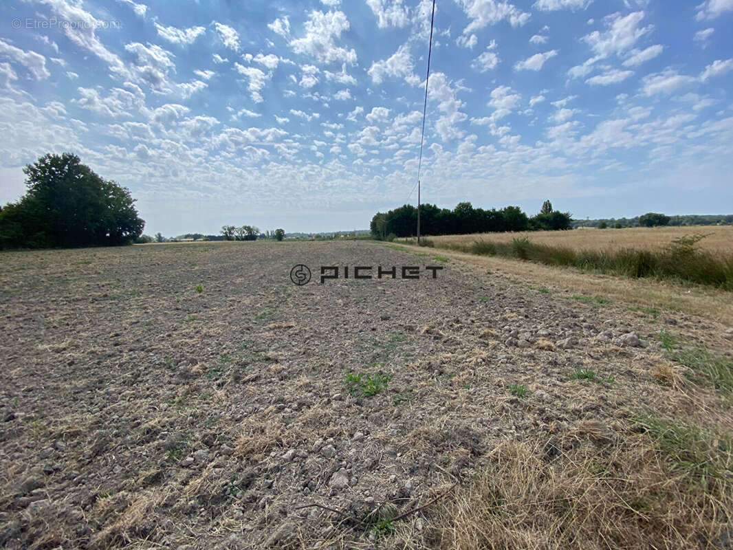 Terrain agricole Arveyres 51 890 m2 - photo 2