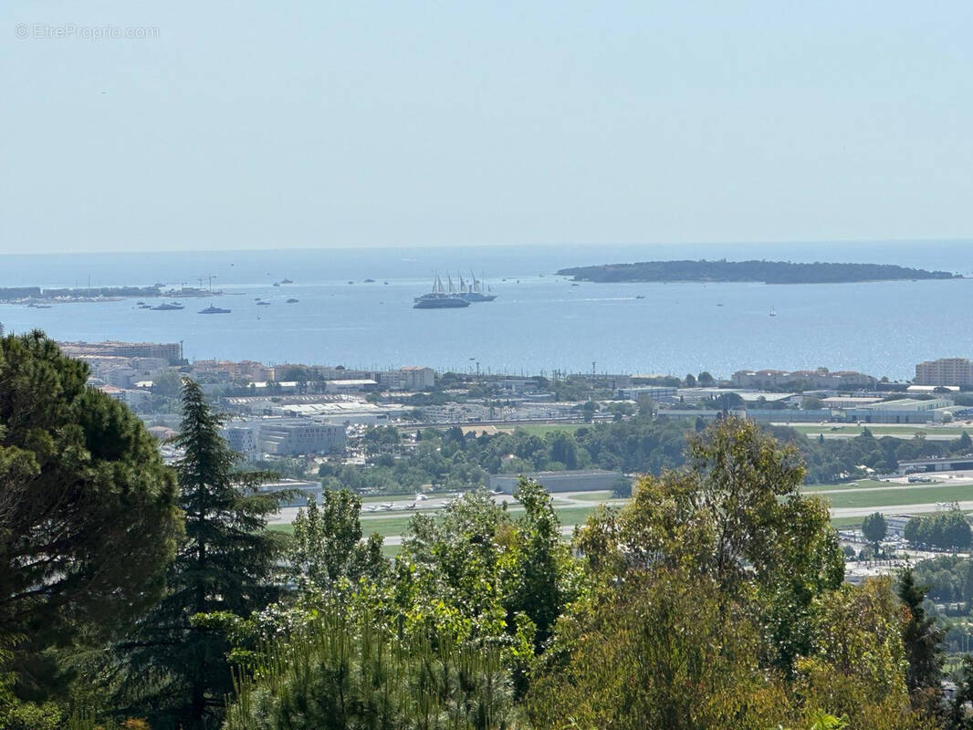 Maison à MANDELIEU-LA-NAPOULE