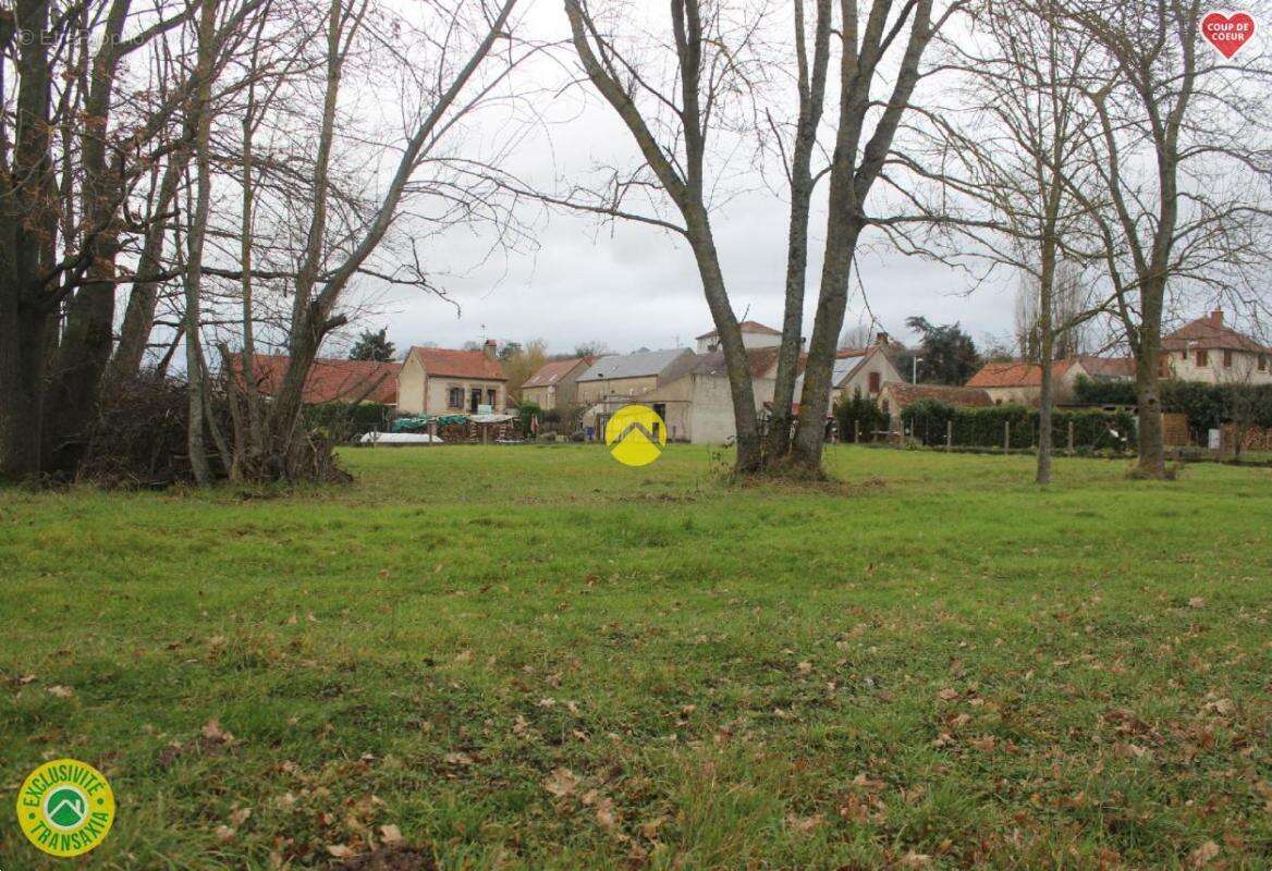 Terrain à TOULON-SUR-ALLIER