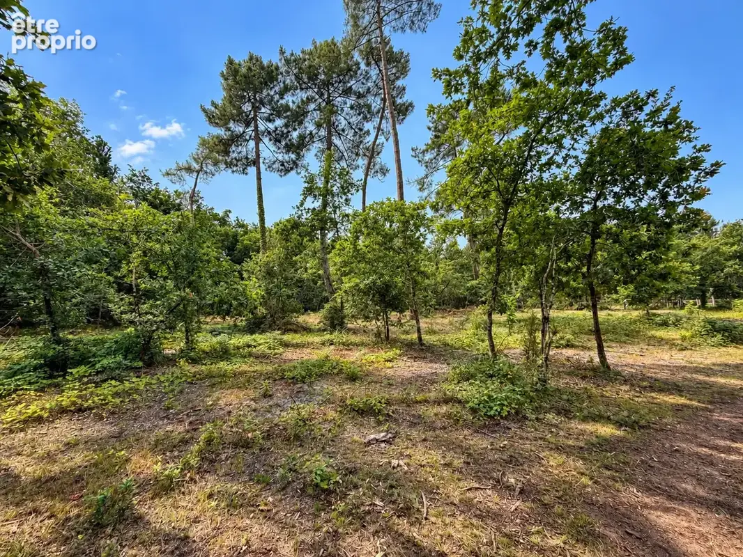 Terrain constructible de 1100m2 - photo 2