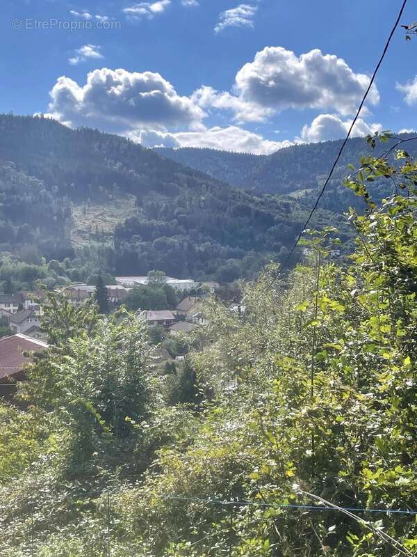 Terrain 1560 m² à Saulxures-Sur-Moselotte  - photo 2