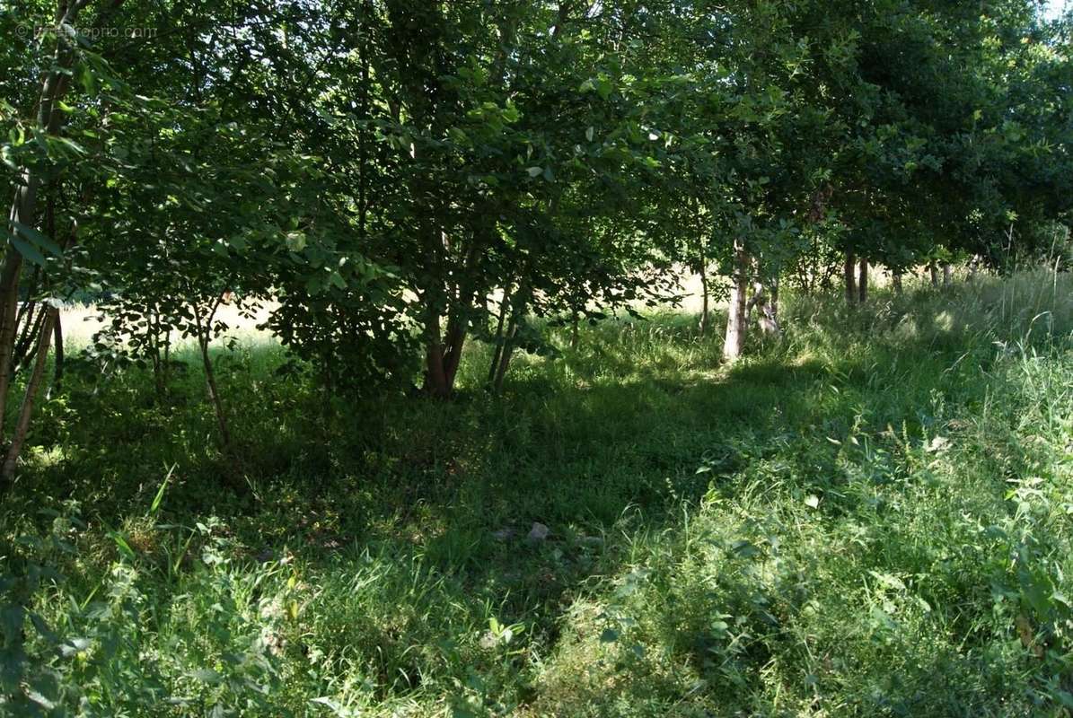 Terrain à SAINT-ANDRE-D&#039;HEBERTOT