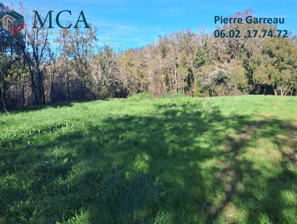Terrain à LE BARP