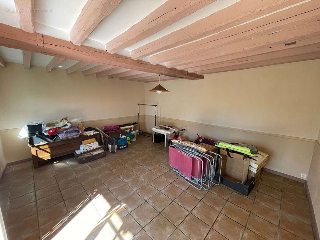 Sancheville - photo 6