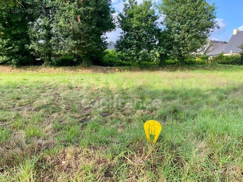 Terrain à LA TRINITE-SURZUR