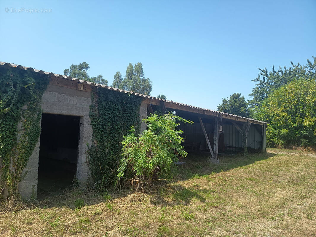 Terrain à LE FAOUET