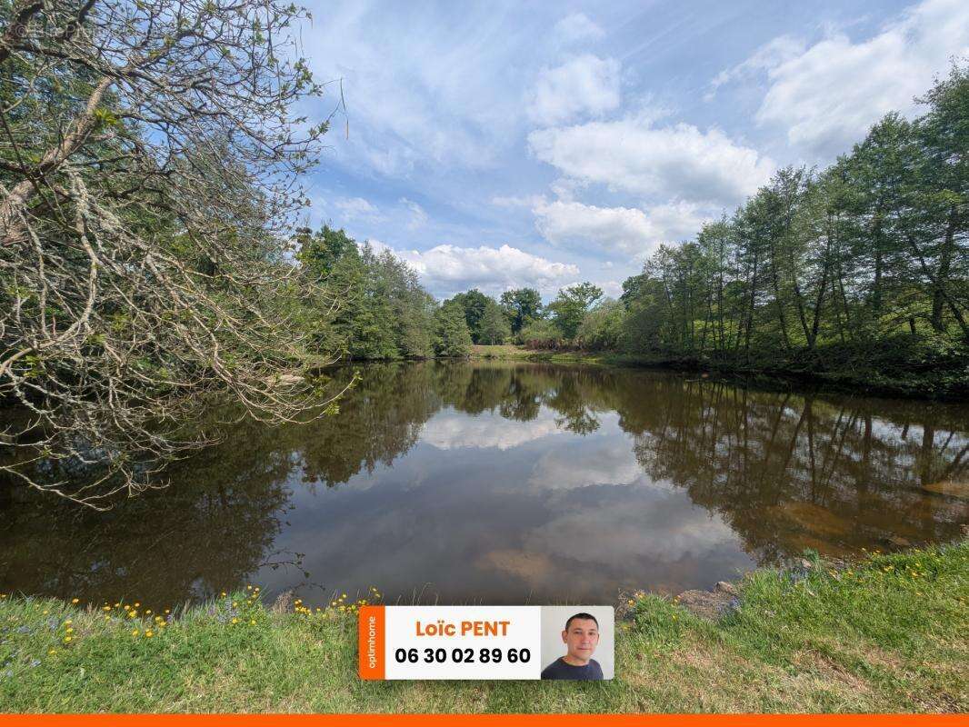Etang à vendre sur un terrain de 26 033,00 m² LE MAYET DE MONTAGNE (03250) - photo 12