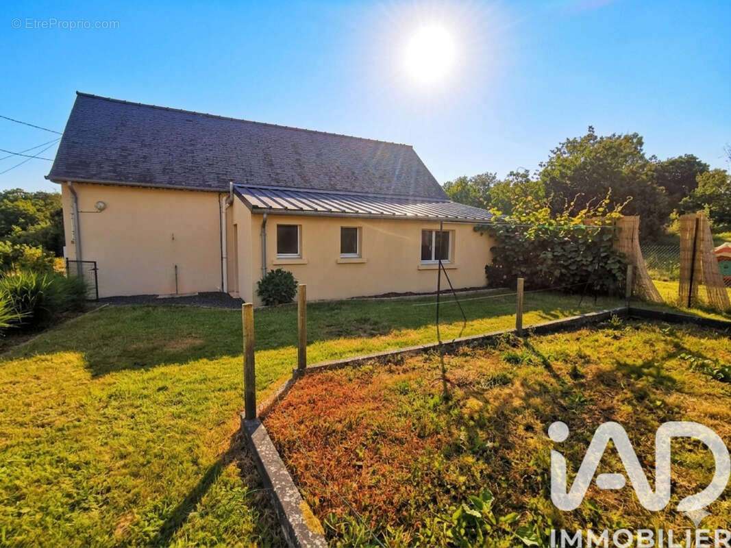 Photo 4 - Maison à MANTALLOT