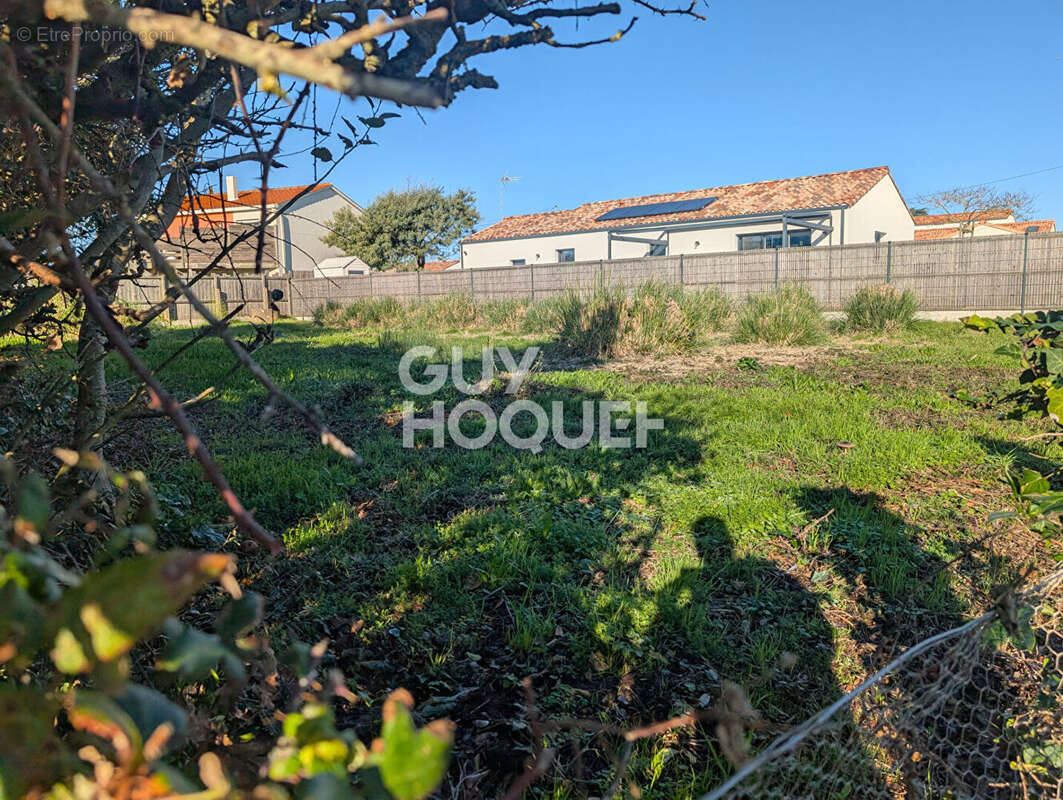 Terrain à SAINT-HILAIRE-DE-RIEZ