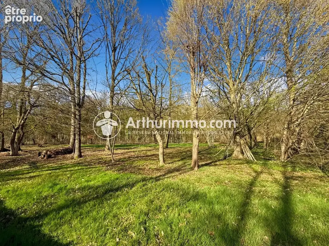 Maison de plain pied sur un vaste terrain en bordure de foret - photo 2