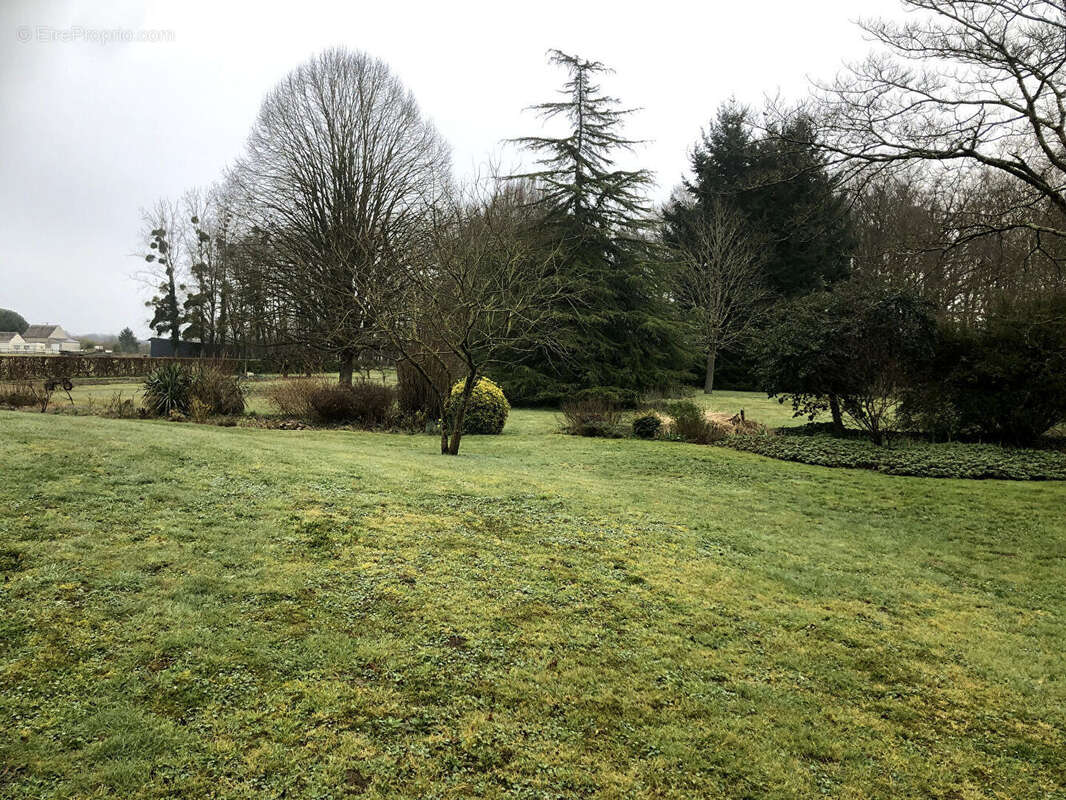 Maison à SAVIGNE-SUR-LATHAN