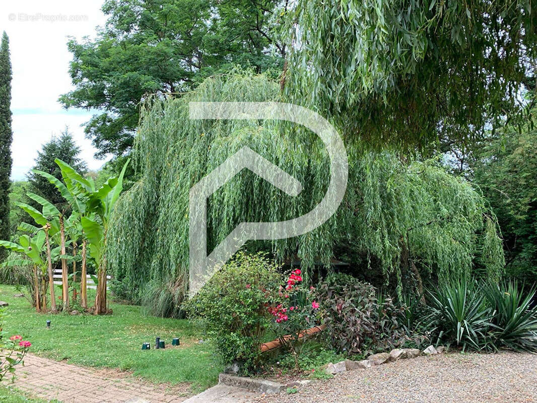 Maison à EUGENIE-LES-BAINS