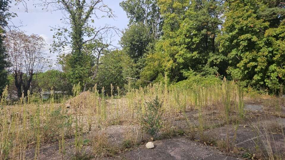 Terrain à SAINT-VALLIER-DE-THIEY