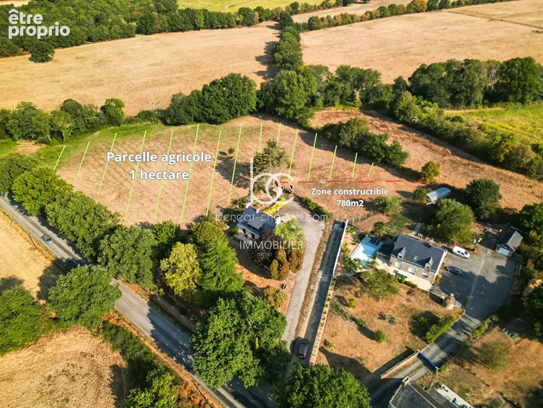 Berric - Terrain 1,5 hectare de Nature, Source et Ruisseau - photo 4