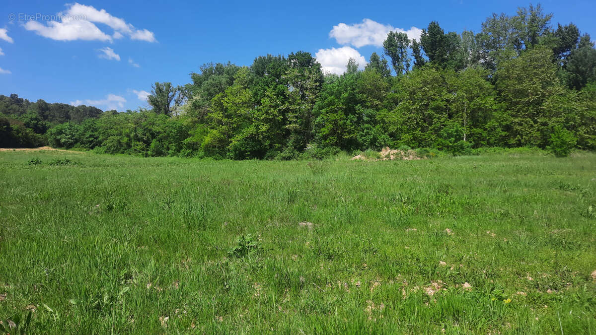 Terrain à CANNES-ET-CLAIRAN