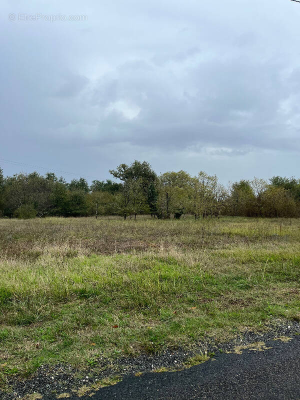 Terrain à SAINT-SAVIN
