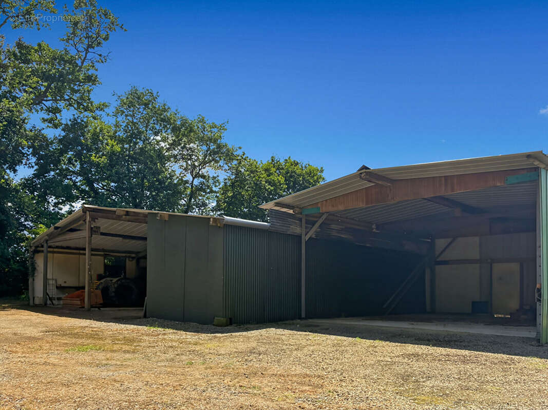 EN EXCLUSIVITÉ - Maison de plain-pied à Feins - 85 m² -Panneaux photovoltaïques, Terrain 7 300 m² , Dépendances - photo 15