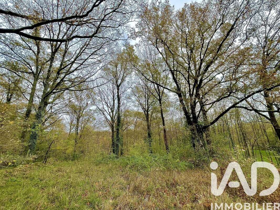 Photo 7 - Terrain à LE BLANC