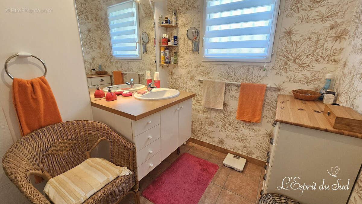 Maison récente à Rabastens, beau jardin - Maison à RABASTENS