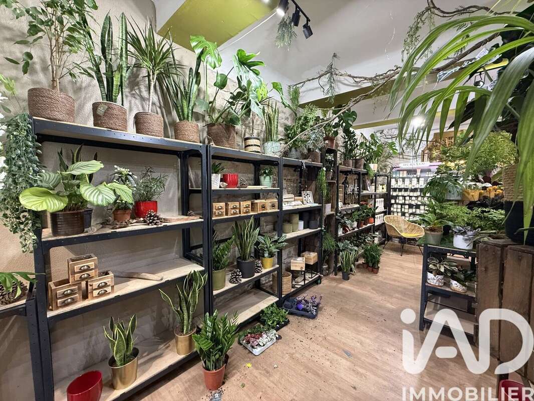 Photo 6 - Commerce à NIMES