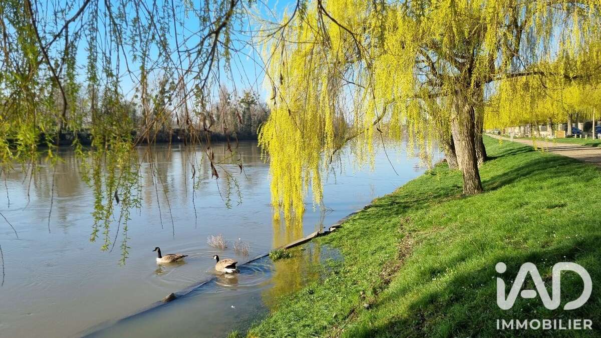 Photo 1 - Appartement à CARRIERES-SUR-SEINE