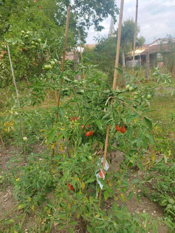 Maison à SAINT-DENIS-EN-BUGEY