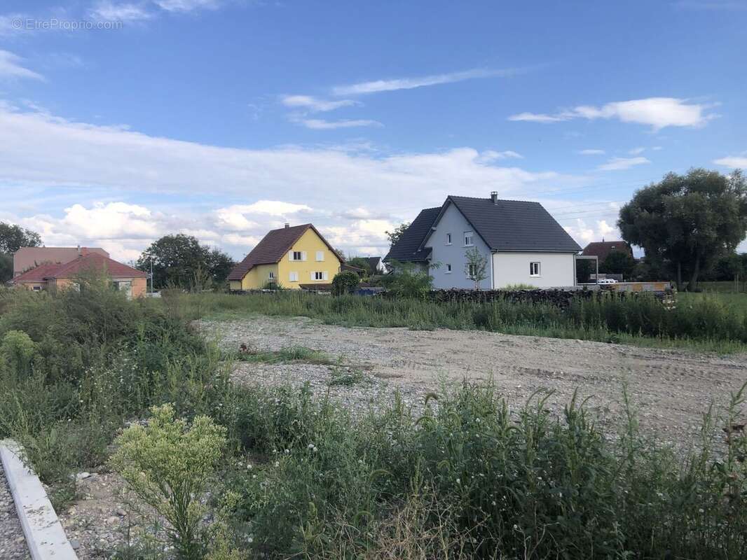 Terrain à ALGOLSHEIM