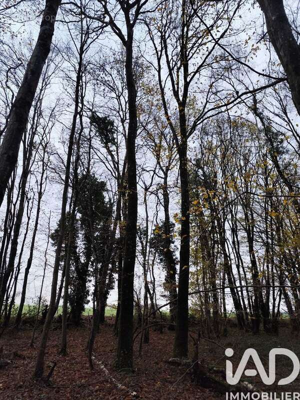 Photo 8 - Terrain à LA CHAPELOTTE