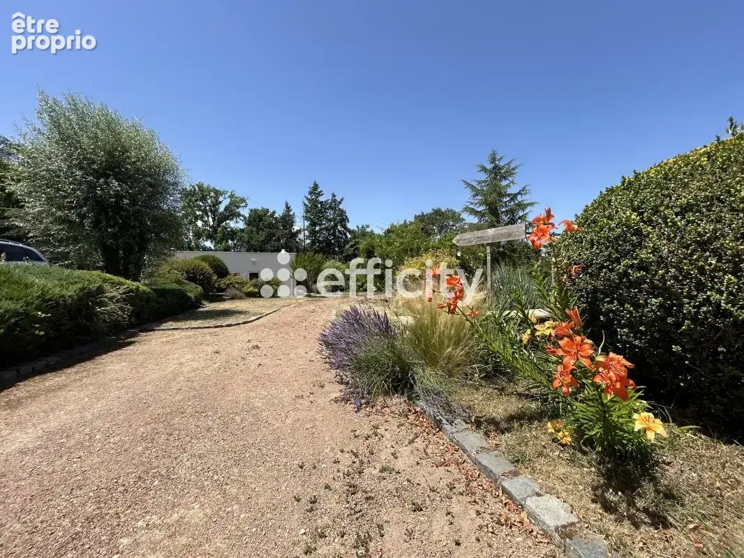 Maison traditionnelle - photo 21