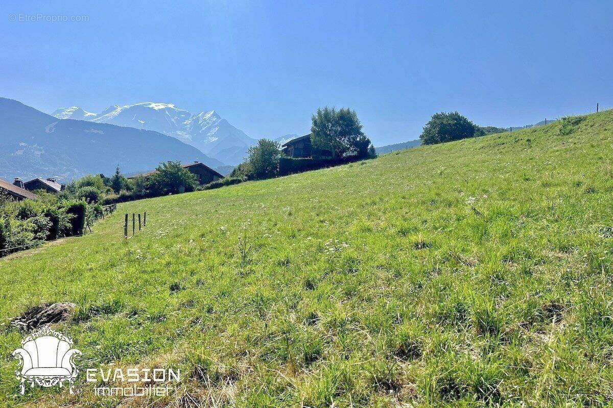 Terrain à DOMANCY
