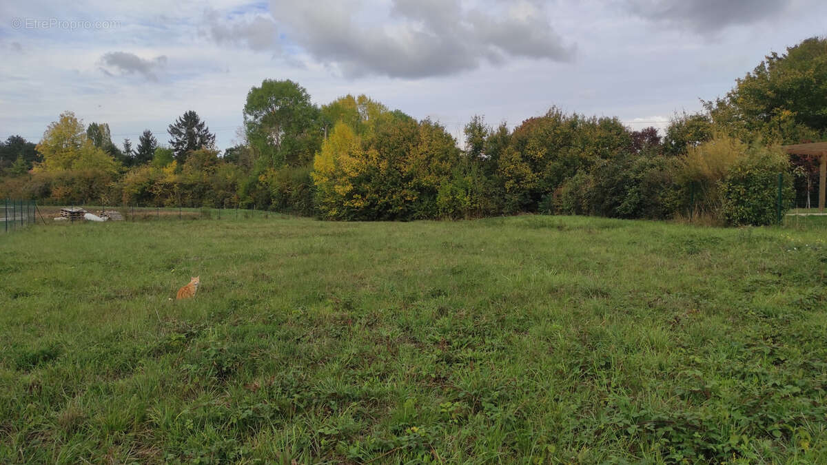 Terrain à SOREL-MOUSSEL