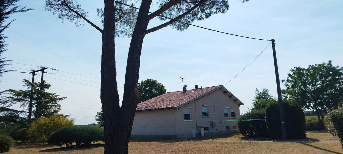 Maison à vendre 6 pièces SAINT JULIEN DU PUY (81) - photo 10