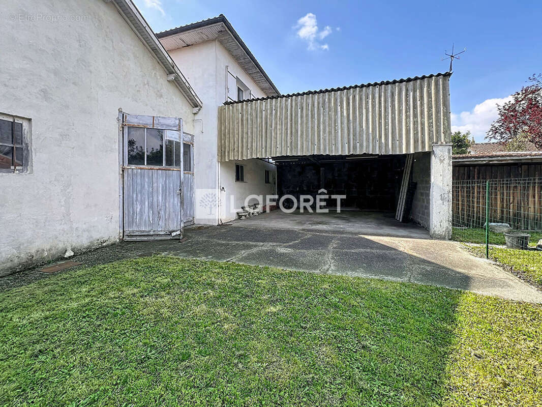 Le Bouscat - Projet immobilier - Appartements ou maison -330m² utile - photo 9