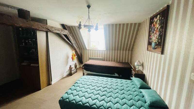 Maison de charme 180 m² avec piscine et 260 m² de dépendances – Potentiel gîtes – Proche Nevers la Charité-sur-Loire et Pougues- - photo 5