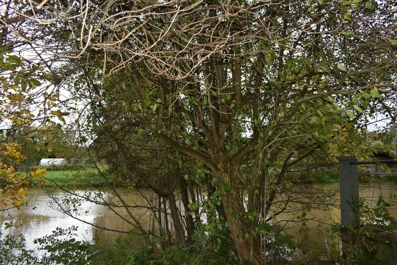 Maison à SARREWERDEN