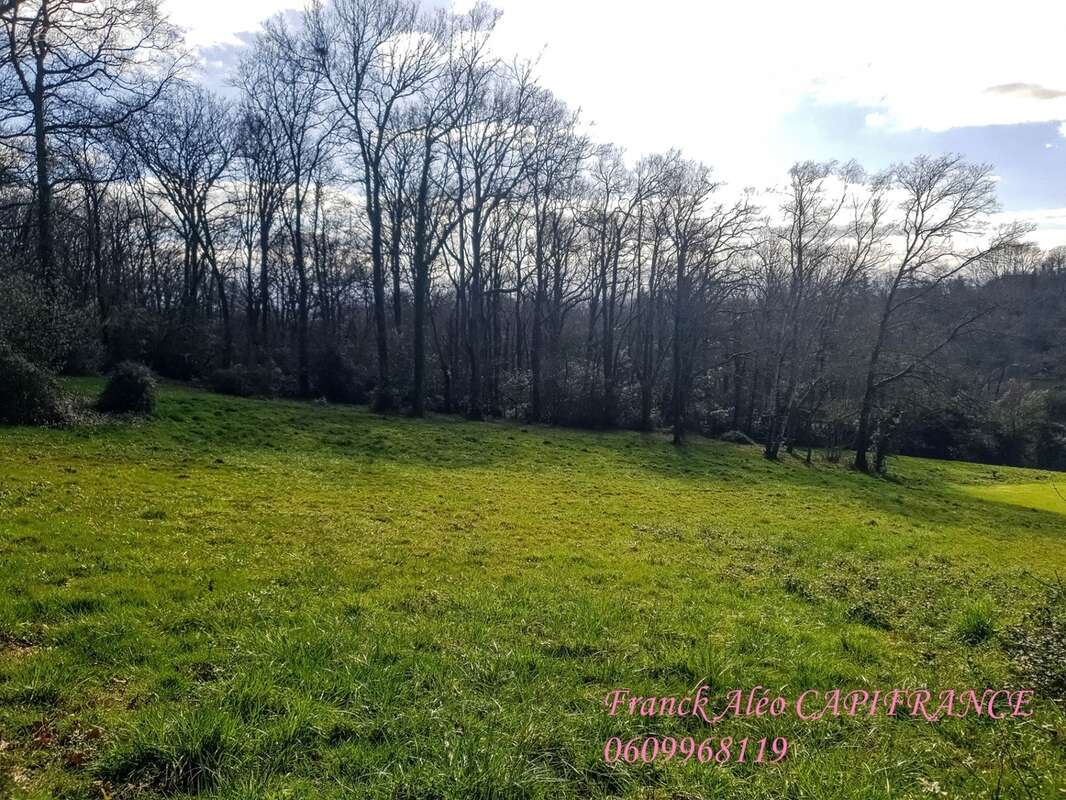 Dpt Pyrénées Atlantiques (64), à vendre BUROS terrain - photo 3