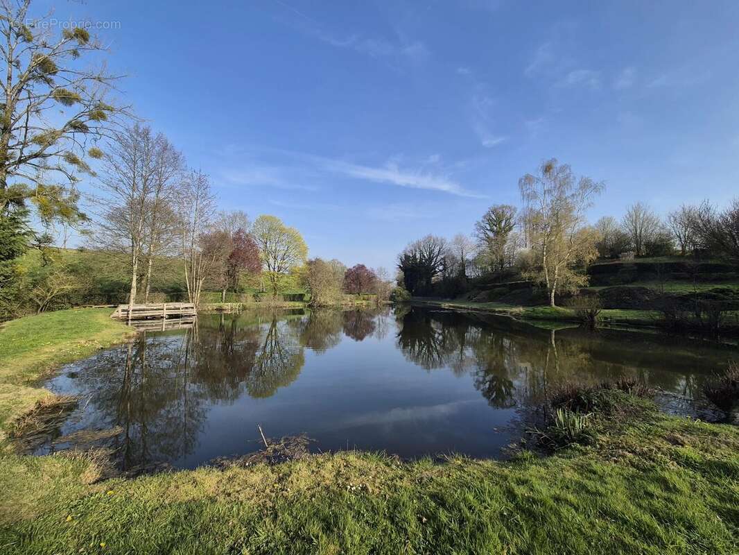 Terrain à LE BOURGNEUF-LA-FORET
