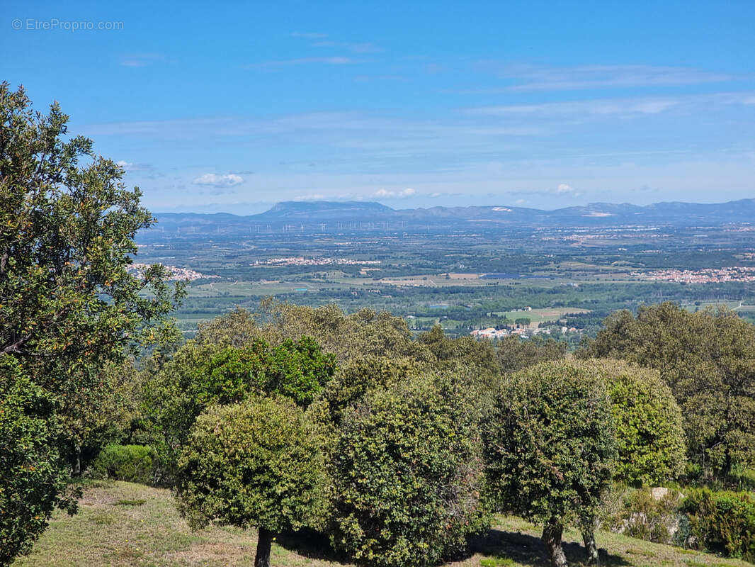 Maison à LAROQUE-DES-ALBERES
