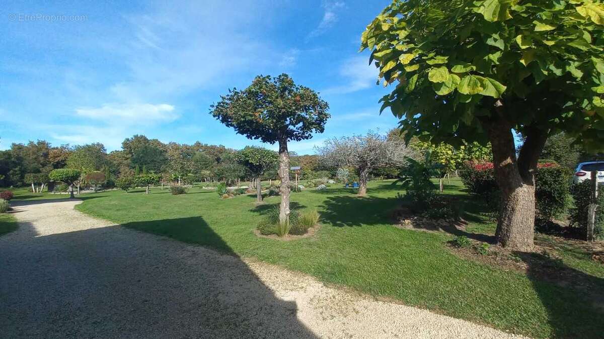 Photo-2025/093040-1-3 - Autre à MONT-DE-MARSAN