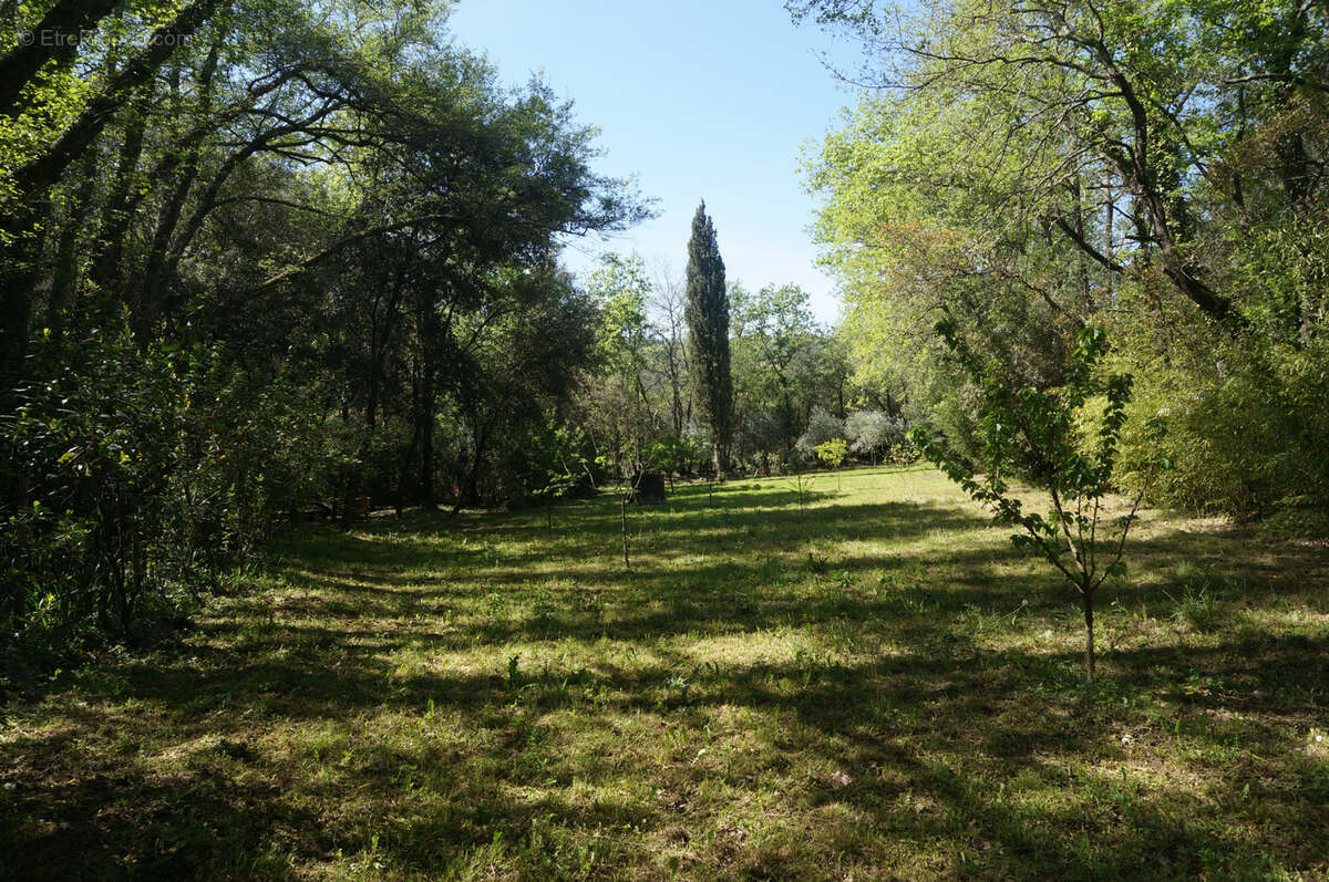 Terrain non constructible avec cabanon - photo 2