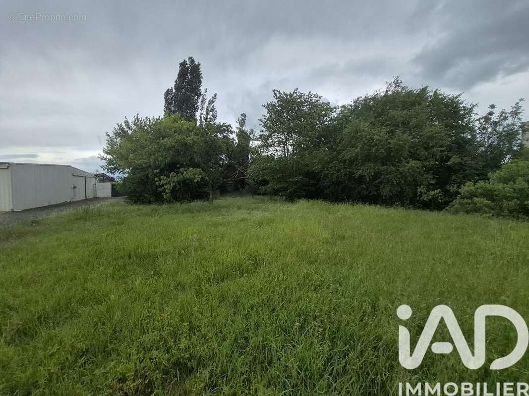 Photo 3 - Terrain à THOUARS