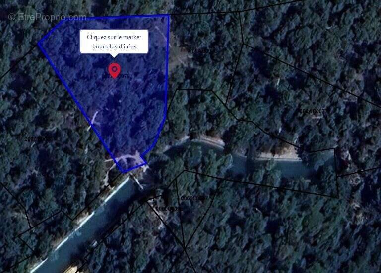 Exclusivite - terrain a vendre - la roque d'antheron - foret - photo 11