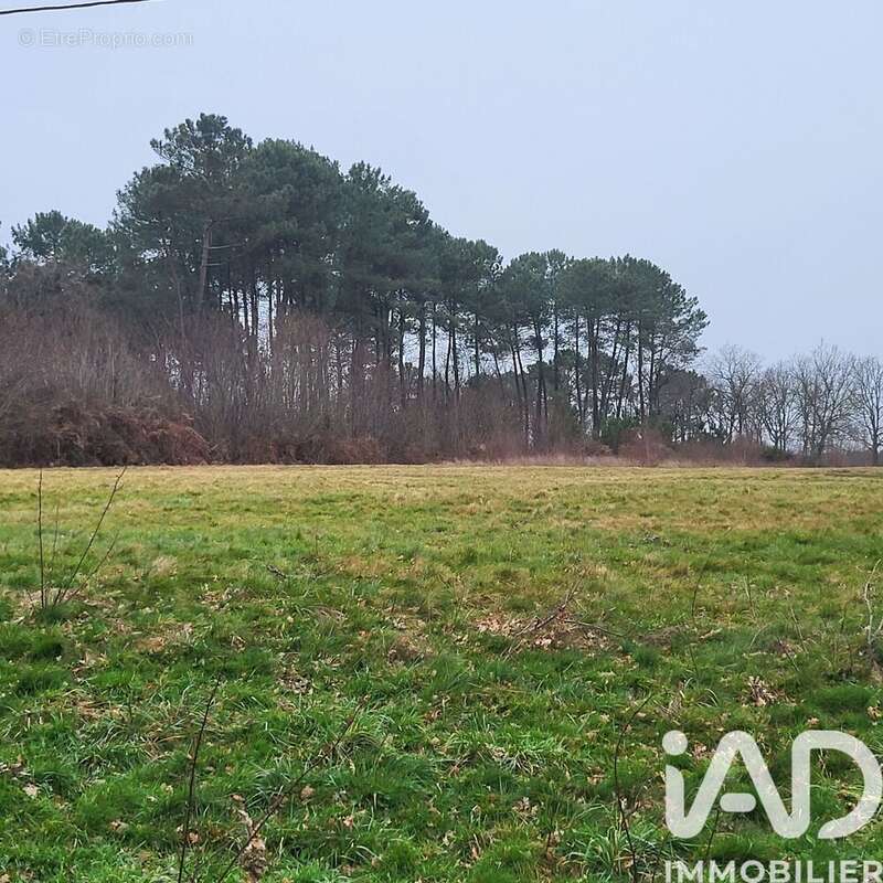 Photo 2 - Terrain à BAZAS