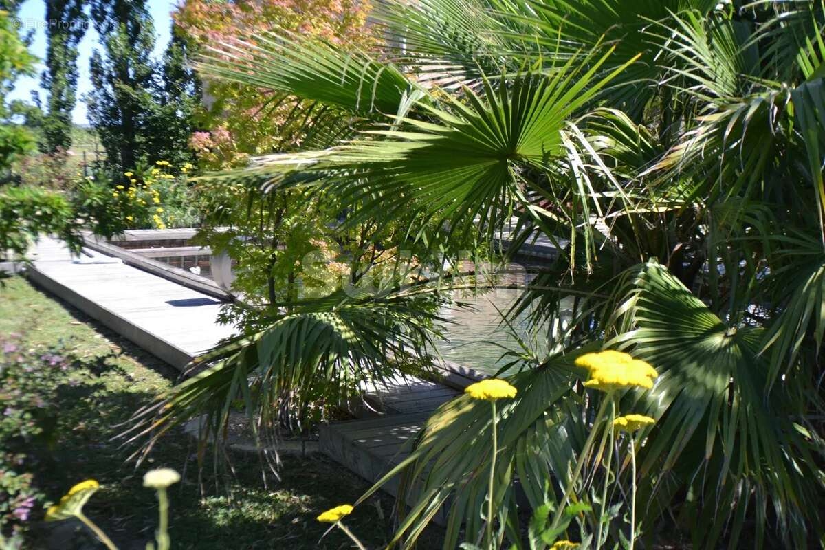 Maison à SAINT-LAURENT-D&#039;AIGOUZE