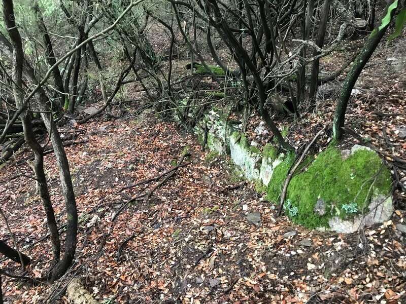 Terrain à BORMES-LES-MIMOSAS