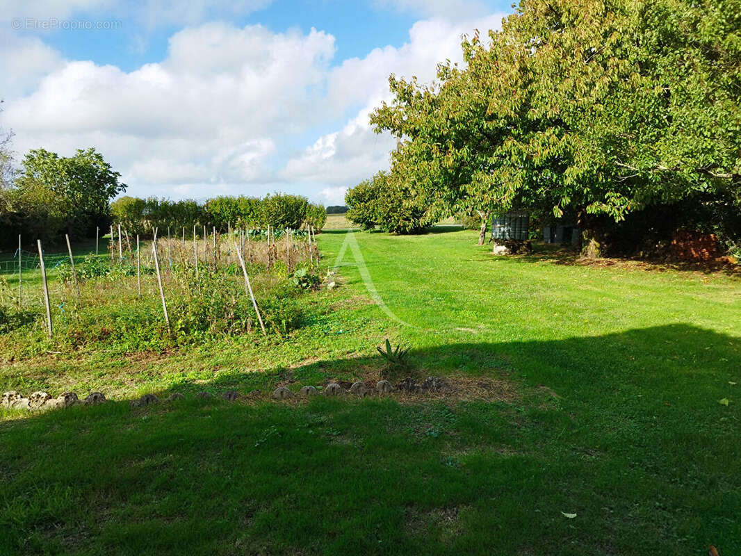 Maison à MONTPELLIER-DE-MEDILLAN